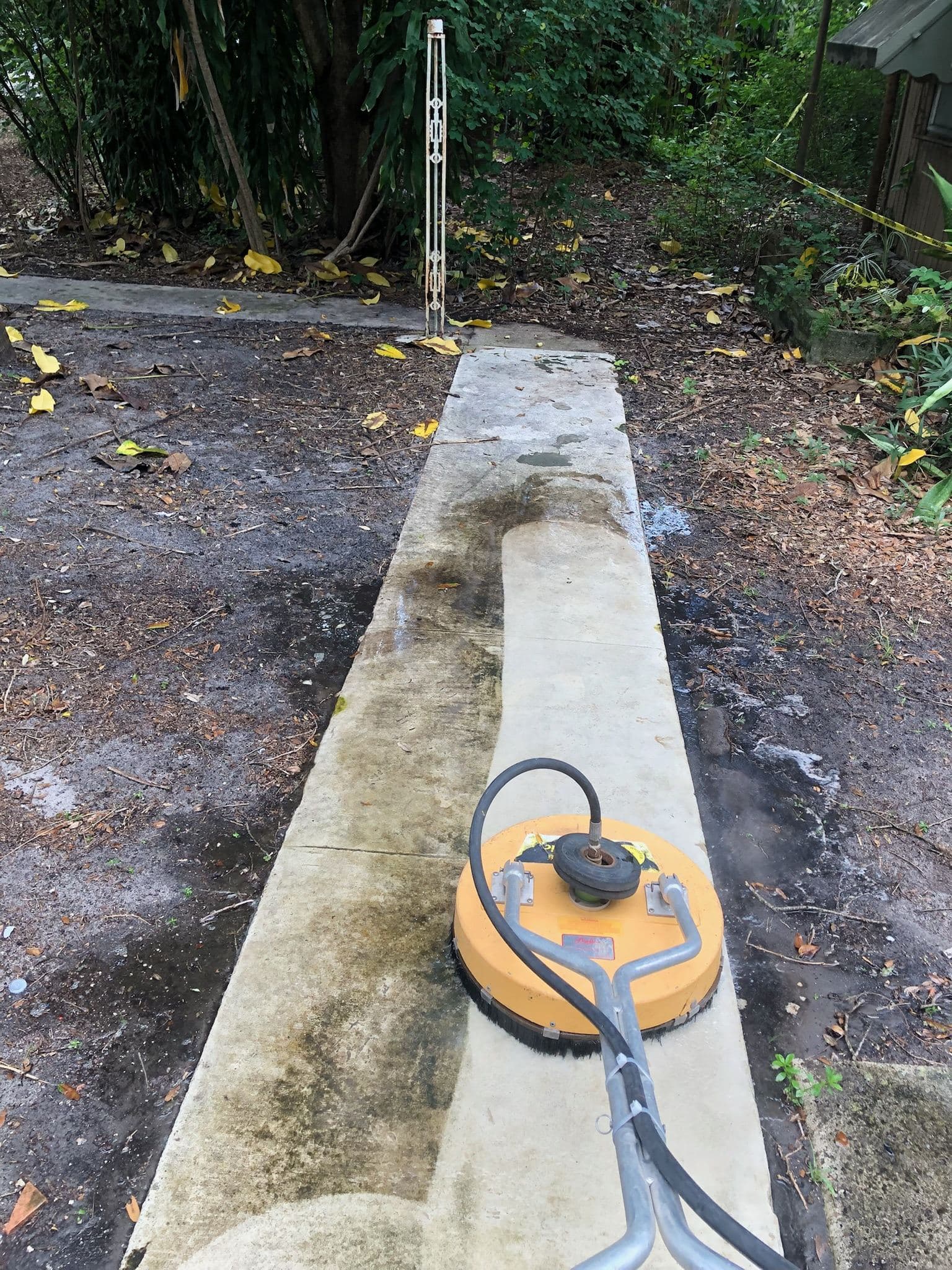 Sidewalk Cleaning